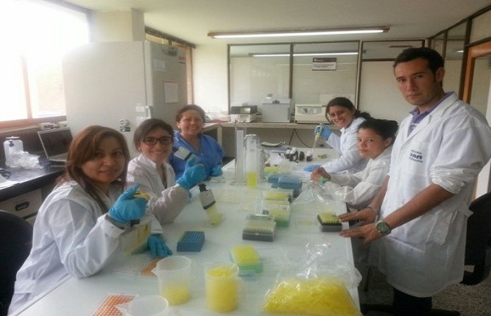 Analisis Laboratorio Subachoque