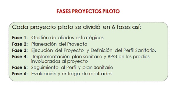 Fases Proyecto Piloto