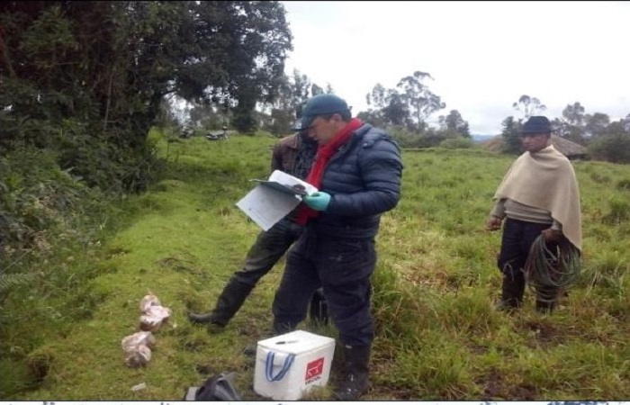 Toma Muestras Guachucal 1