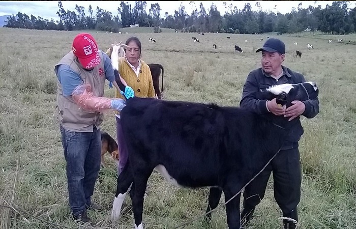 Toma Muestras Guachucal 2