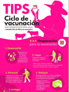 ciclo de vacunacion