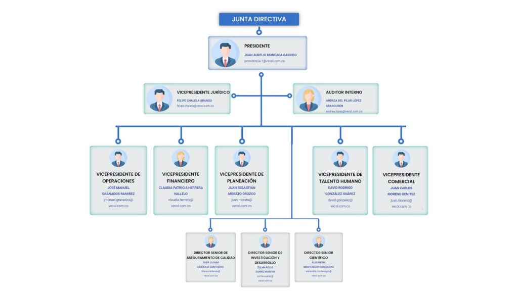Organigrama 2 1