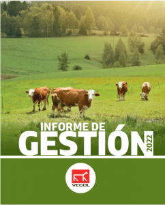 Informe de gestion 2022