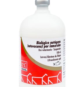 Biológico autógeno (autovacuna) por inmersión