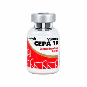 CEPA 19