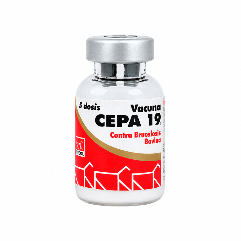 CEPA 19